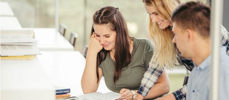 degree final year | Mont Rose College