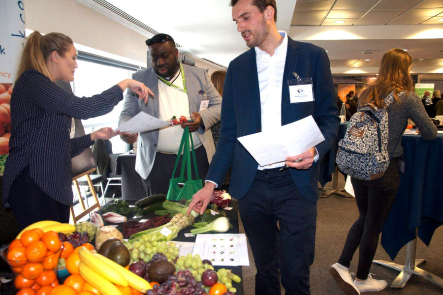 Fresh Careers Fair | Mont Rose College