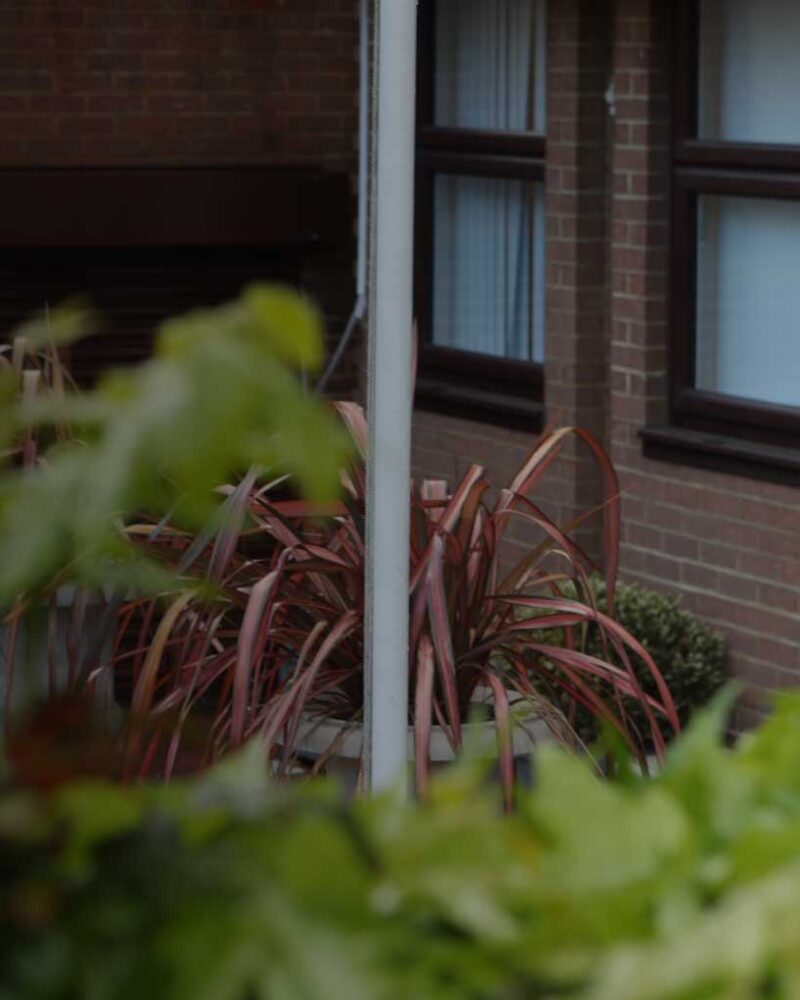 Business Management Courses London | Mont Rose College