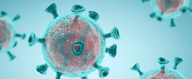 21st June Too Soon To Ease Restrictions | Mont Rose College