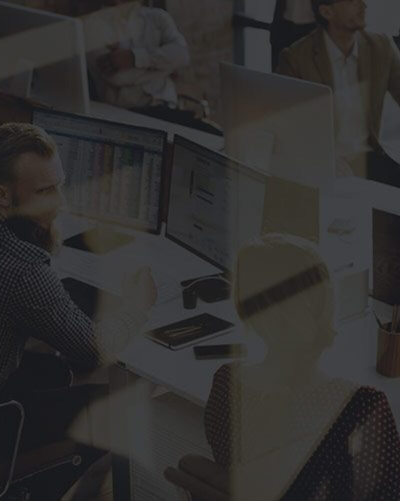 Open Day | Mont Rose College