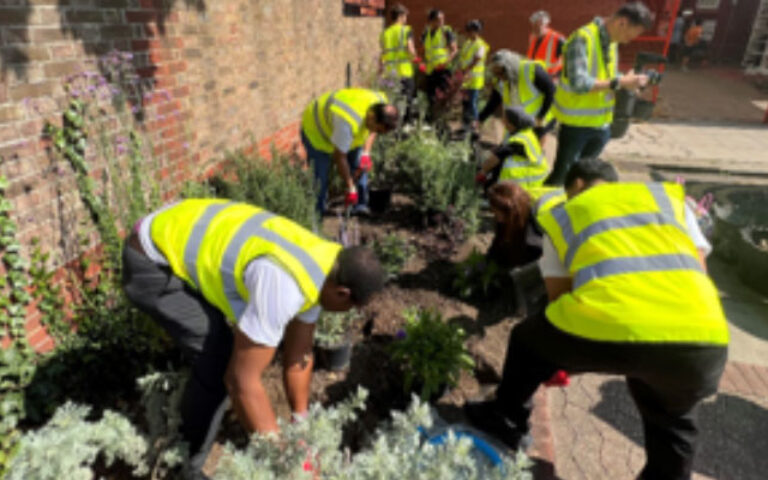 Volunteers planting greenery outdoors during Mont Rose College's Participation in Ilford Green Action Day, promoting community sustainability