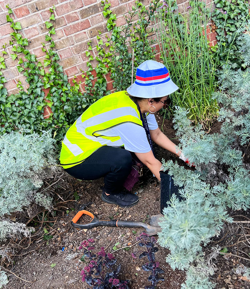 Mont Rose College's Participation in Ilford Green Action Day