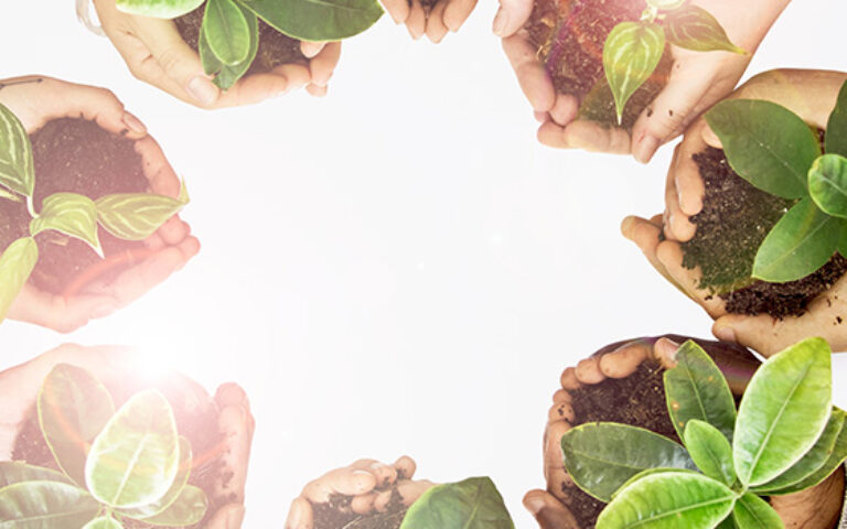 Hands holding small plants in a circle, symbolizing Environment Day at Mont Rose College